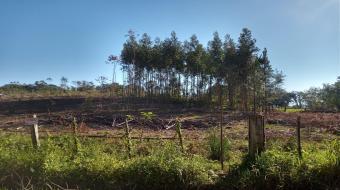 Imóvel 3745